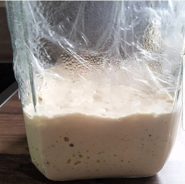 Herstellung von Lievito Madre 25 Tage Methode