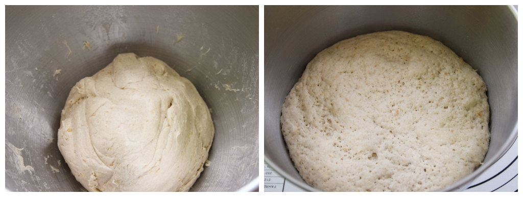 Teig Peanut Bun/Erdnussbrötchen