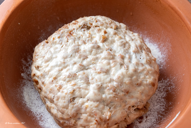 Teigling einfaches Zwiebelbrot mit Übernachtgare
