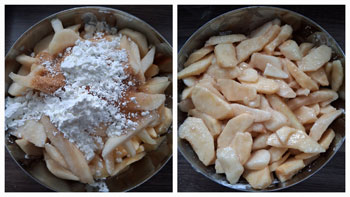 Zubereitung-Früchte-Apfel-Birnen-Pie