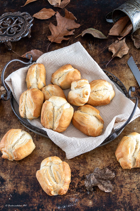 bolognesische Biove Obenansicht