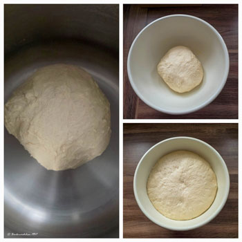 Teig von bolognesische Biove