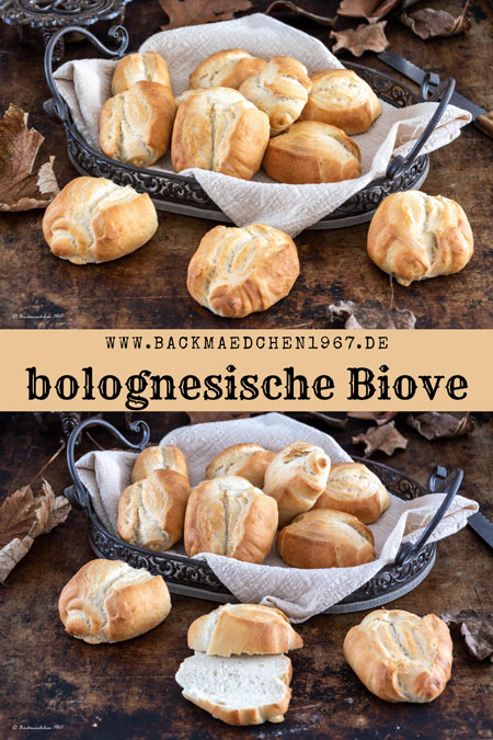Bolognesische Biove mit und ohne Anschnitt